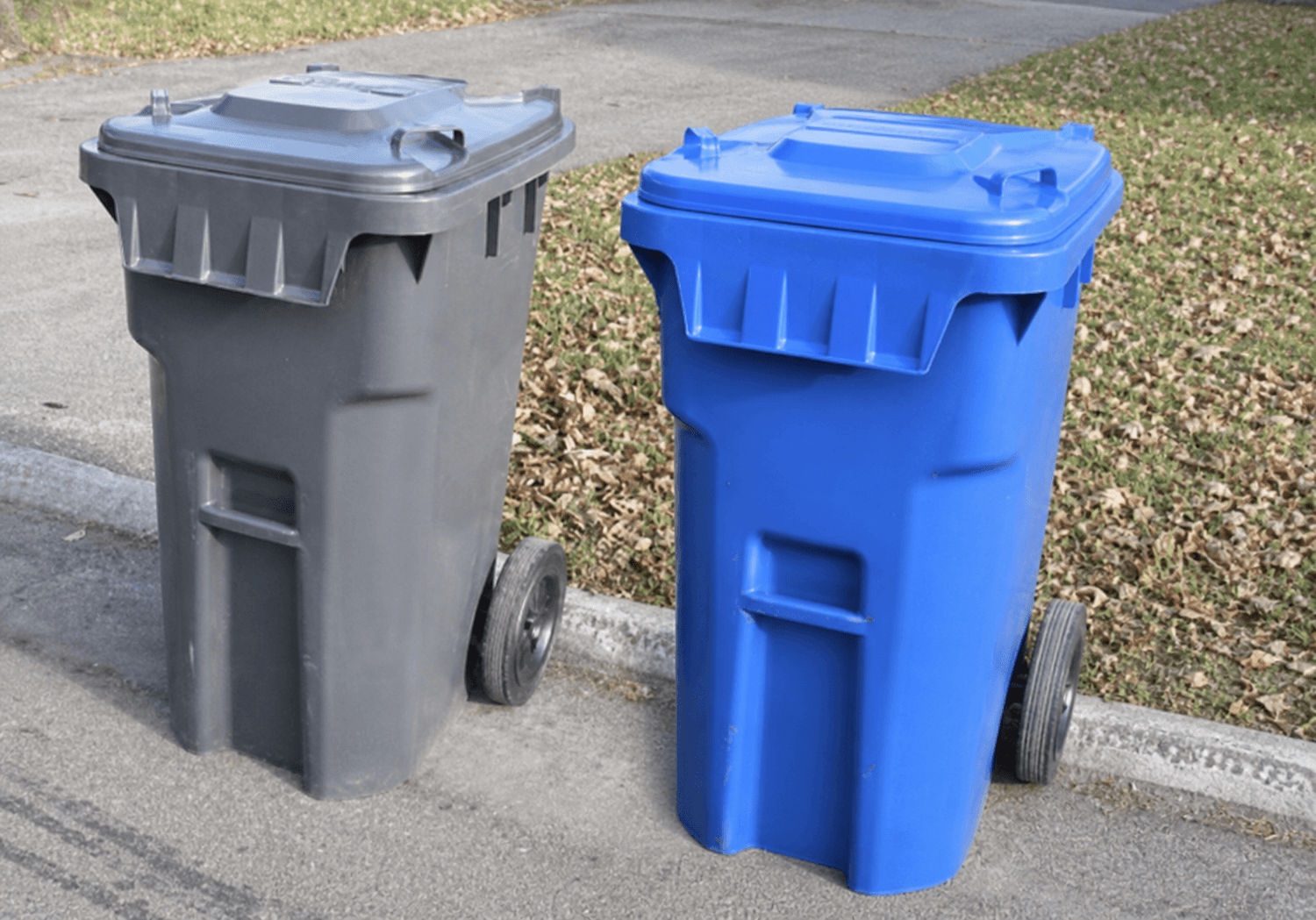 Trash and recycling bins at the curb on collection day